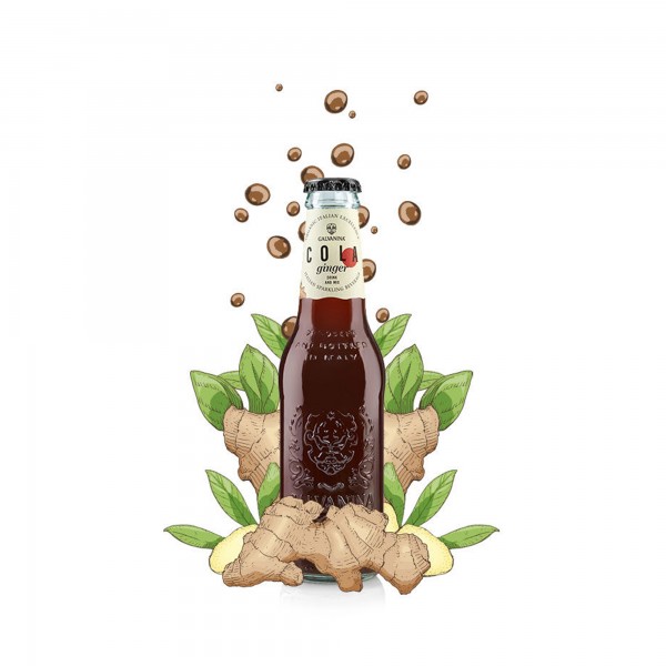 Galvanina Organic Ginger Cola Mixology